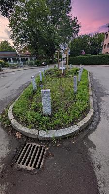 Wildblumenwiese Langenfelde