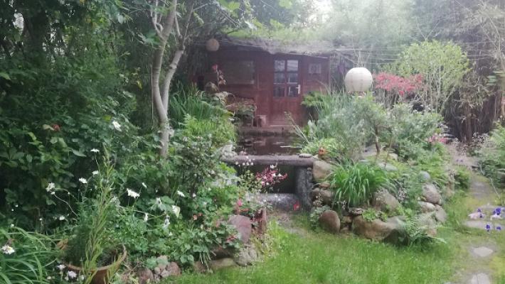 Grün & Glanz - Garten- und Teichservice