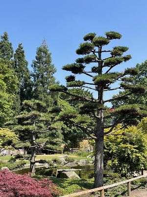 Dammtorpark, Planten un Blomen