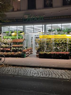 Kögel Pflanzenmarkt e.K.