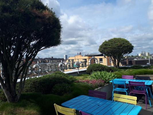 Arndt Fricke Gartenbau