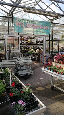 Hans-Peter Wippermann