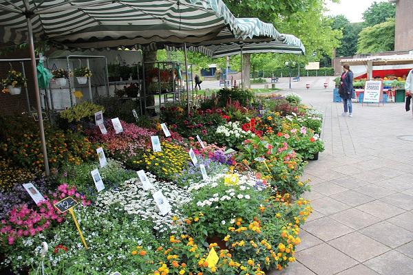 Vierländer Gartenbaubetrieb Michael Bornhöft
