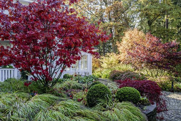 BERAN GÄRTEN GmbH & Co. KG