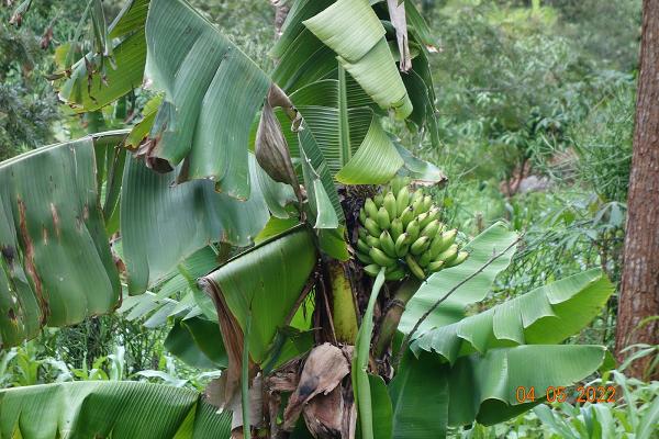 Reinhold Bauer Garten- und Landschaftsbau e.K.