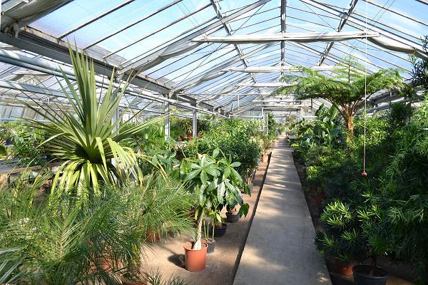 Gärtnerei Emil Schäfer & GRÜN AUF ZEIT