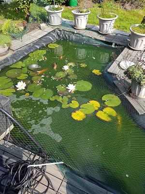 Kleingartenverein Gartengemeinschaft am Eulenkamp