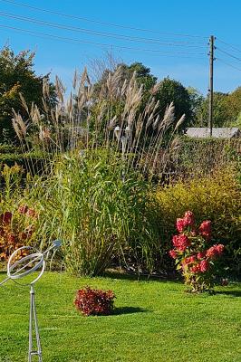 Kleingartenverein 547 Schreberstolz