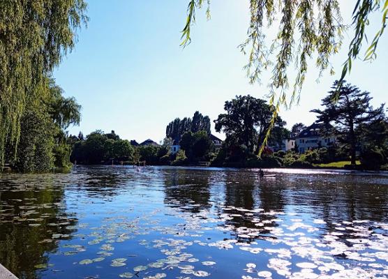 Kleingartenbauverein Birkenhain e.V.