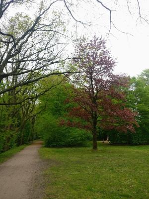 Hannemann Garten- und Landschaftsbau Baumpflege GmbH