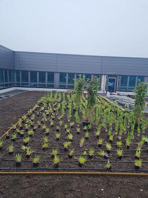 Garten- Landschaftsbau Klaus Hildebrandt AG