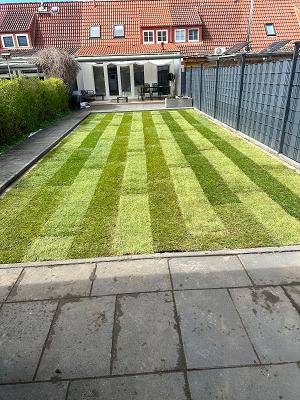 Gartenpflege im Alstertal