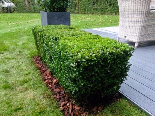 Gärtner Albrecht Landschaftsgestalter | Hamburg