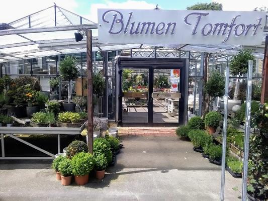 Blumen Tomfort Verkaufsgärtnerei Pflanzen-Überwinterunsgservice
