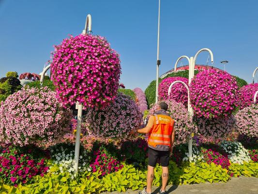 Erdem's GaLaBau GmbH