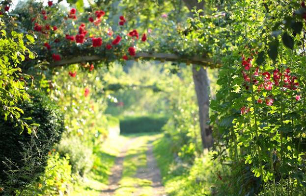 Gartengestaltung Dornröschen