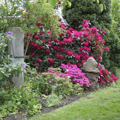 "Garten plus" Gartenpflege