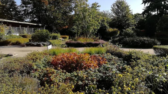 Bauern - Staudengarten