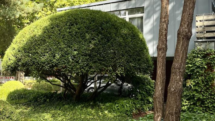 Jensen Landschaftsarchitekten