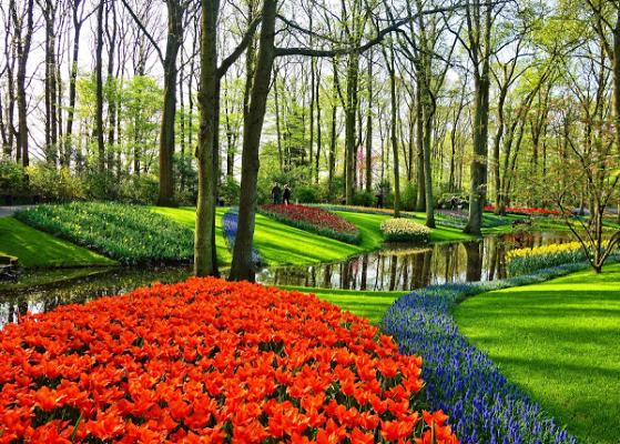 HGS Hansa-Garten-Service GmbH - Garten- und Landschaftsbau, Gartenpflege, Winterdienst