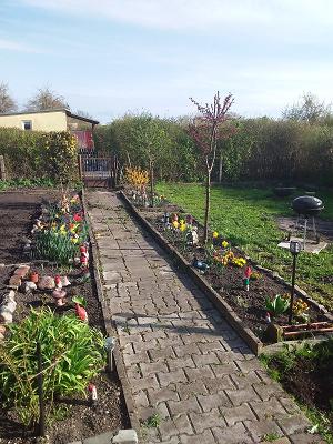 Wiesengrund Gartenanlage