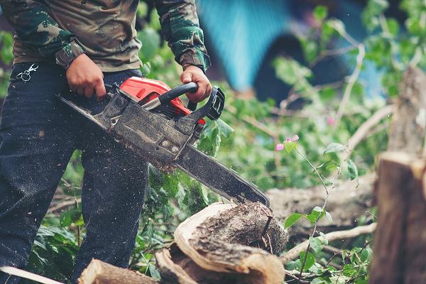 Mobiler Holz Service Maik Willmann