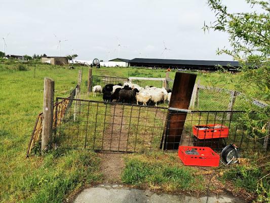 Gutes aus Gretes Garten
