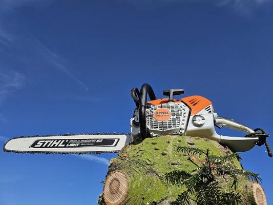 Müritzer Garten- & Baumpflege