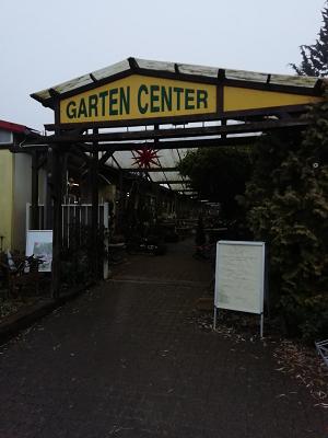 Bergmann GmbH - Blumen & Garten Center