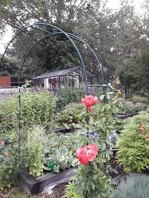 Gärtnerei "Zur Waupack"