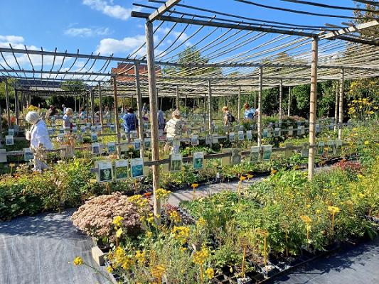 Ulrike Gürtler Staudengärtnerei