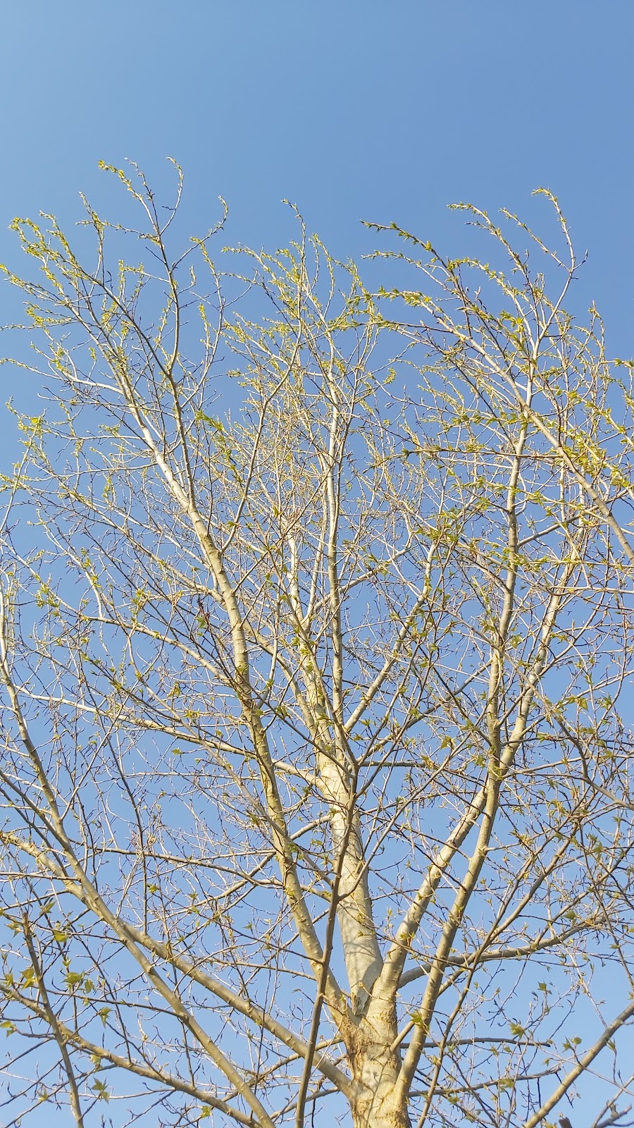 682ea80e96939