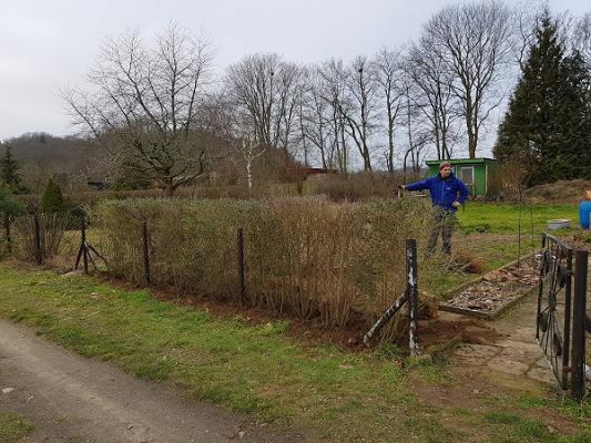 Kleingartenverein „Am Waldessaum“