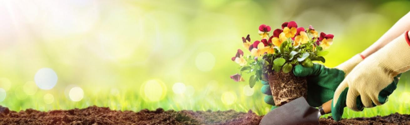 Gärtnerei Gehrung GmbH