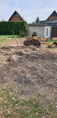 Baumfäller Mecklenburg-Vorpommern Inh. Stefan Frohberg