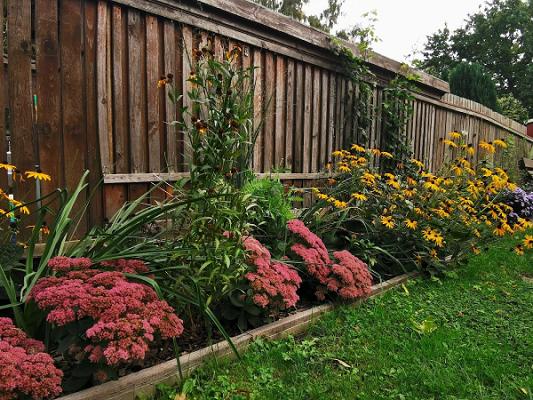 MH Garten & Landschaft