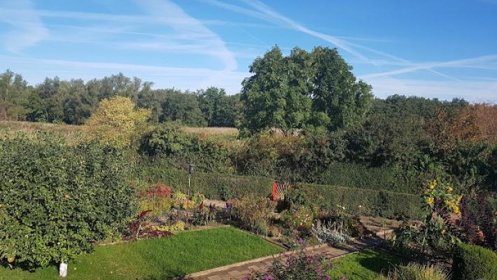 Gartensparte Waldeshöh 1955