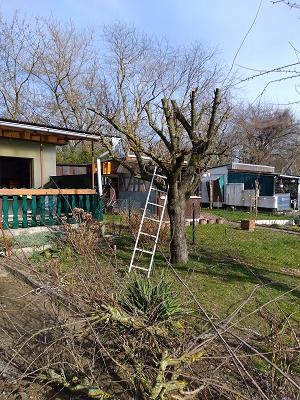 Kleingartenverein „Schönwalde“