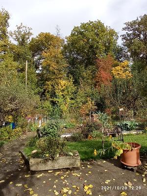 Gartenfreunde Stuttgart-Sillenbuch e.V.