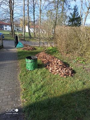 STH - Hausmeisterdienste & Gartenbau