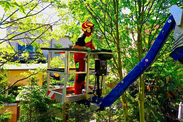 Garten- und Landschaftsbau Schmidt