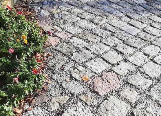 Garten und Landschaft *Garten- und Landschaftsbau*