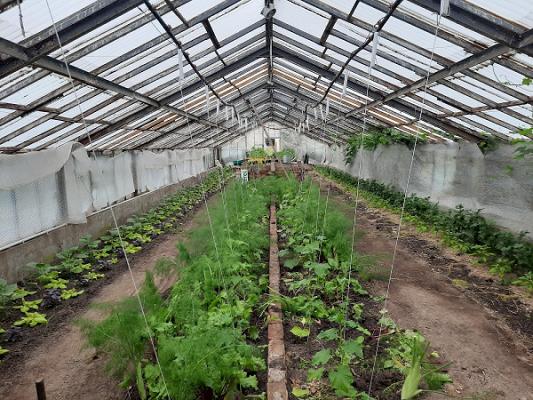 Bio- & Erlebnisgärtnerei Rohde