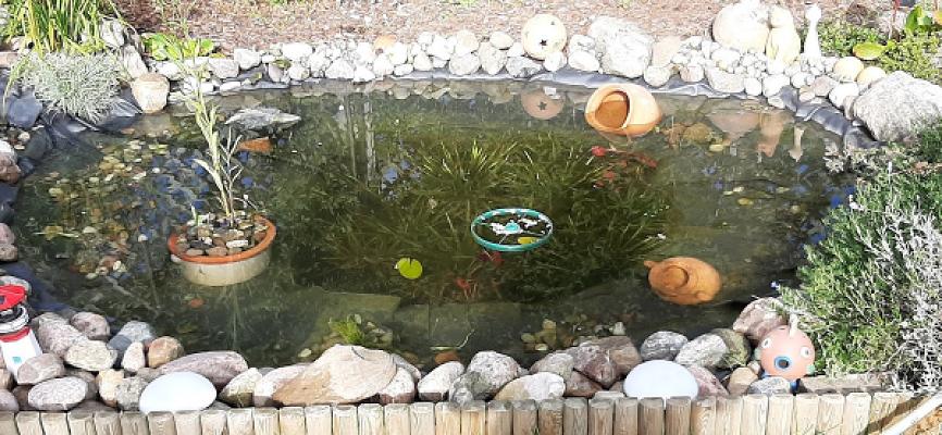 Kleingartenanlage "Reutershagen"