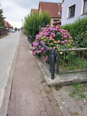 682ea943a6945