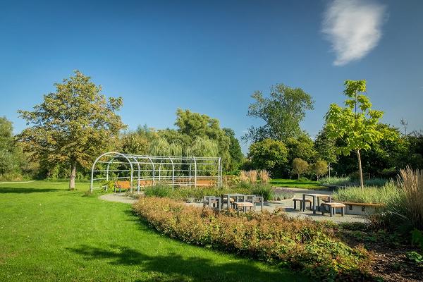 Schullis Rosettengarten