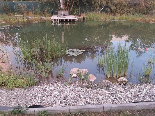 Braune Garten- und Landschaftsbau