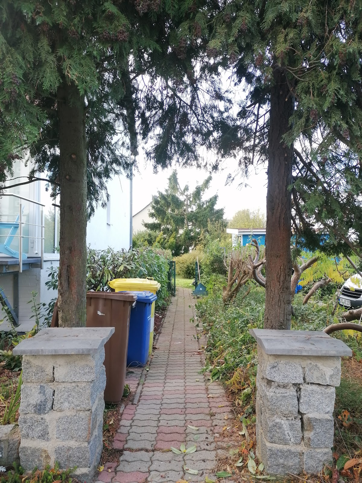 682ea97734558