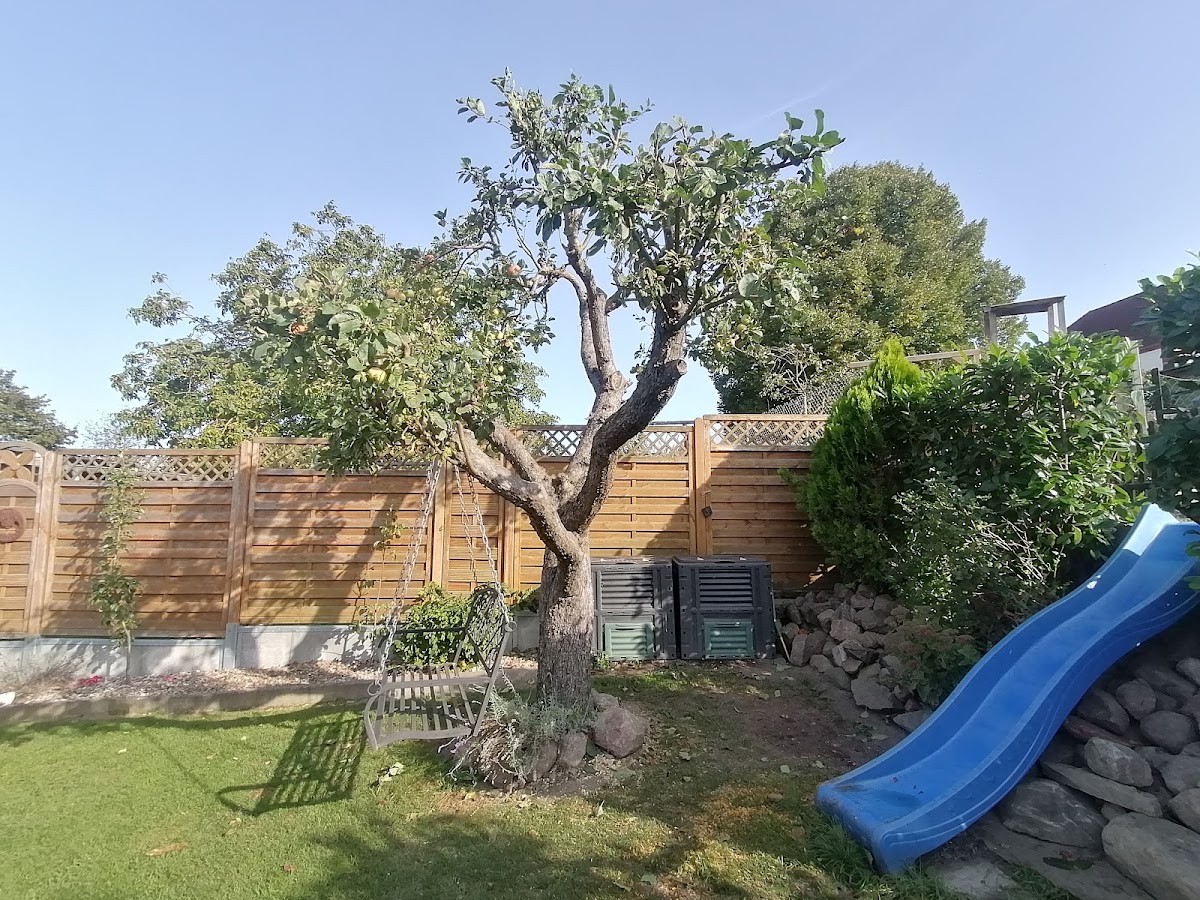 682ea97880675