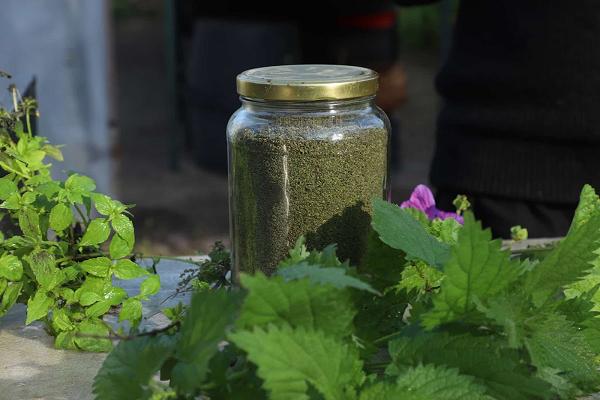 Gärtnerei Bunte Beete Wildkreyterey